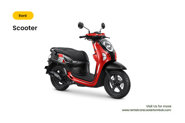 scooter rentalcarscooterlombok (1)