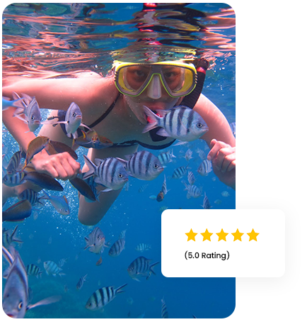 snorkeling2-rentalcarscooterlombok